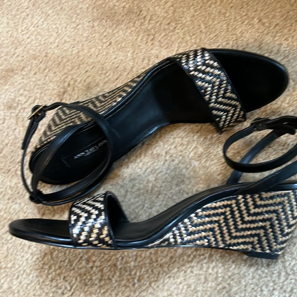Ann Taylor Sandels - Picture 4 of 4